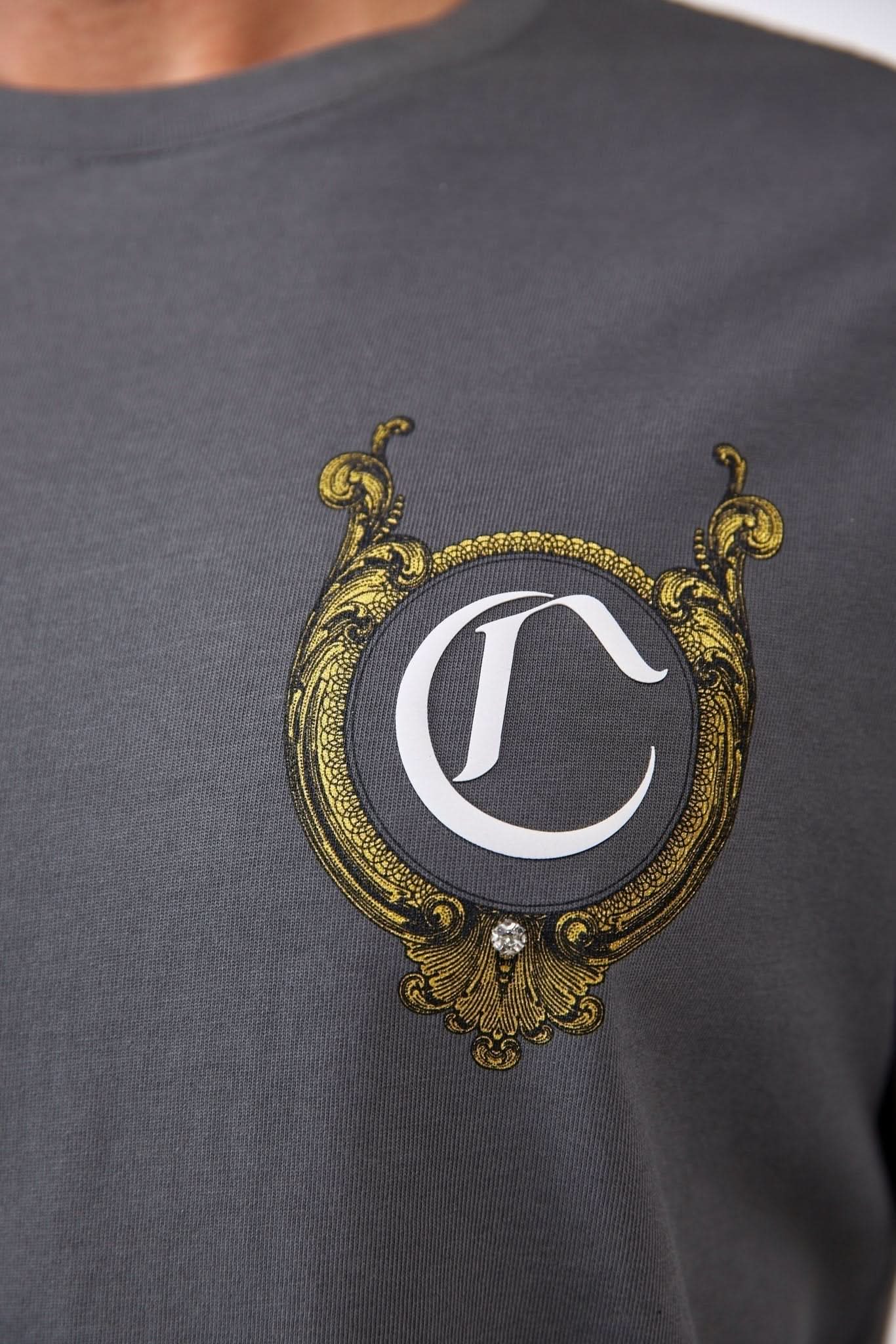 CAMISETA MASCULINO CUPOLA GRIS OSCURO CLEMONT - Image 6