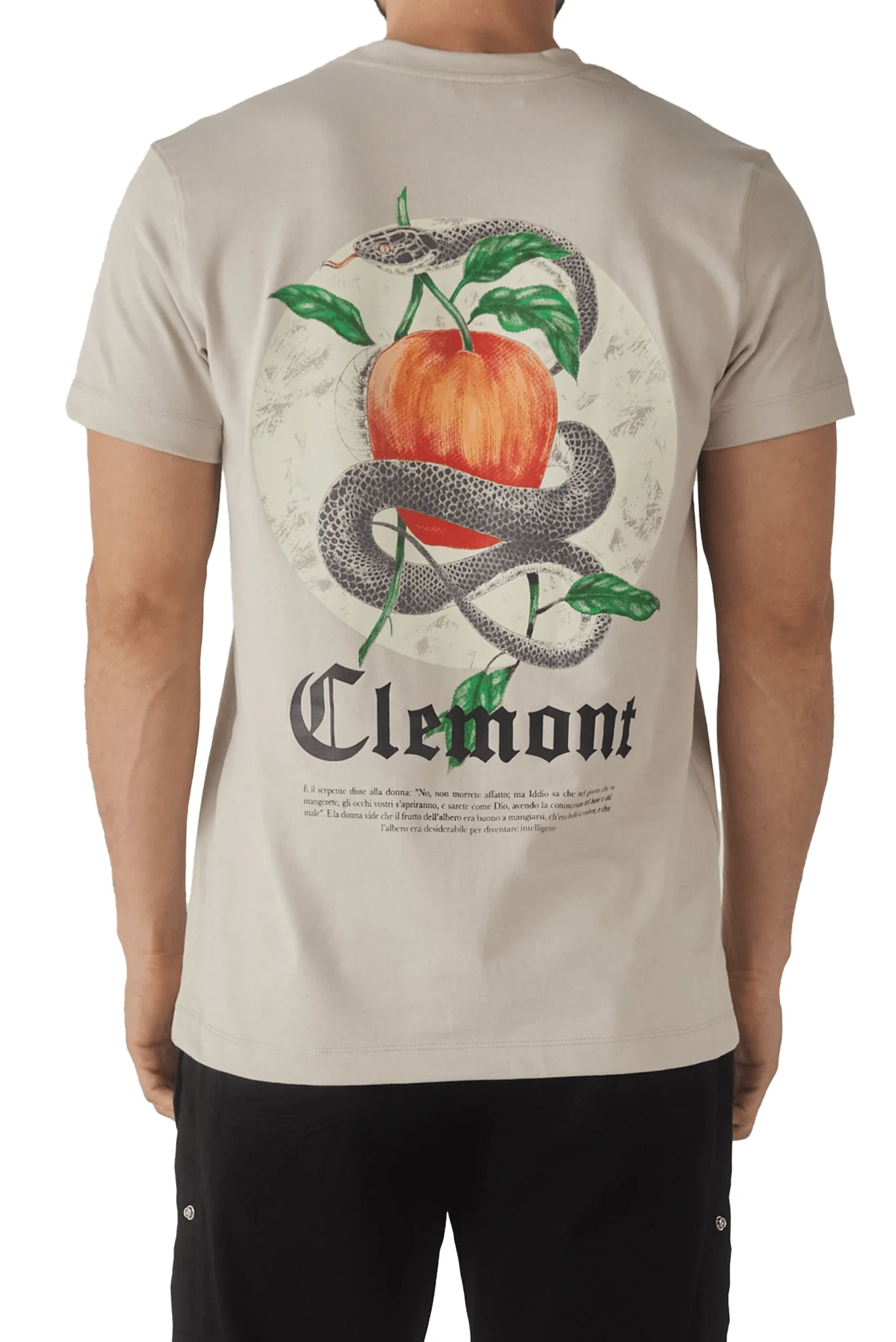 CAMISETA SERPENTE SILVER CLEMONT - Image 3